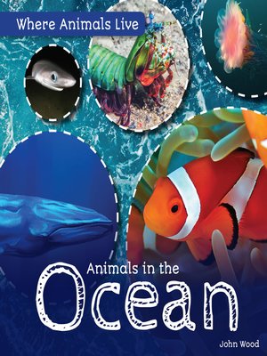 cover image of Animals in the Ocean